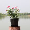 thumbnail image 7 of SPRING PARK Colorful Petal Plastic Plant Pot Planter Flower Pot with Pallet Tray Saucer for Decoration of Home Office Desk Garden Flower, 7 of 7
