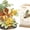 Cicada, variant on SKQIT Insect Flower Series Block Art Desktop Decorations: Tiger Butterfly, Orchid Mantis, Honeybee & Cicada Shell - Nature-Inspired Collectibles