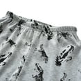 thumbnail image 7 of Bjutir Toddler Baby Boys Pajamas Kids 2 Piece Pj'S Long Sleeve Dinosaur Sleepwear Clothes Set Outfits Light Gray Size 3-4 Years, 7 of 7