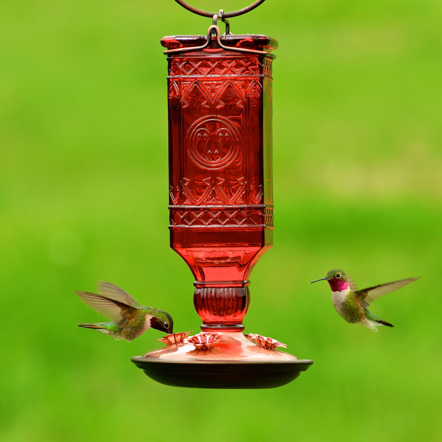 Perky-Pet Red Square Antique Bottle Glass Hummingbird Feeder