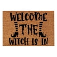 thumbnail image 1 of Summer Doormats Outdoor Entrance Funny Door Mats Welcome Mat Outdoor Spring Front Door Rug Outdoor Home Decor Patio Stuff for Outside Sturdy Door Mats for Home Entrance Outdoor Indoor, 16x24 Inch, 1 of 7