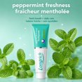thumbnail image 4 of Longrich Dentifrice au Thé Blanc, 4 of 5