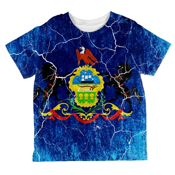 Pennsylvania Vintage Distressed State Flag All Over Toddler T Shirt Multi 2T