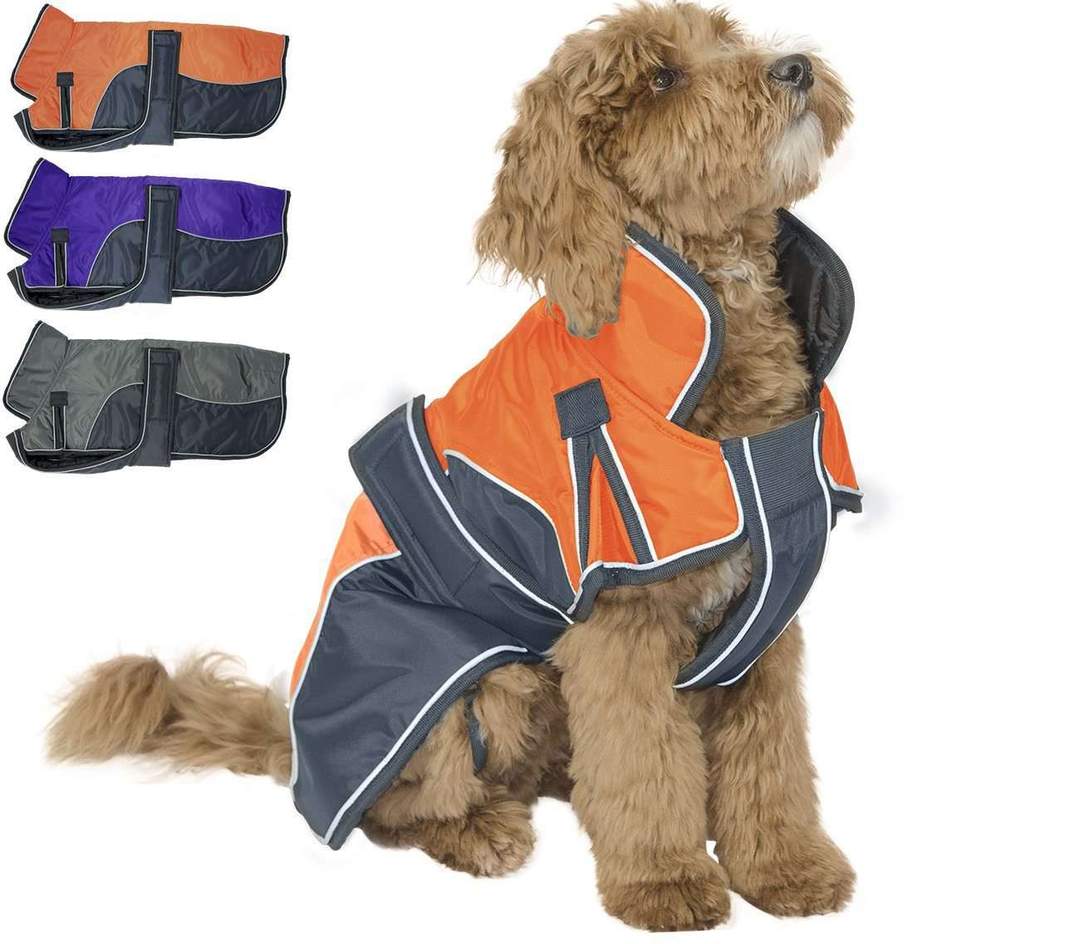 Derby Originals Urban Winter Dog Parka with Neck Cover & Harness
