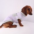 thumbnail image 4 of HQREA Dachshund Dog Clothes Anti-UV Cooling Vest Tank Top with Pocket Stretchy Sleeveless Summer T-Shirt for Mini Dachshund, 4 of 6