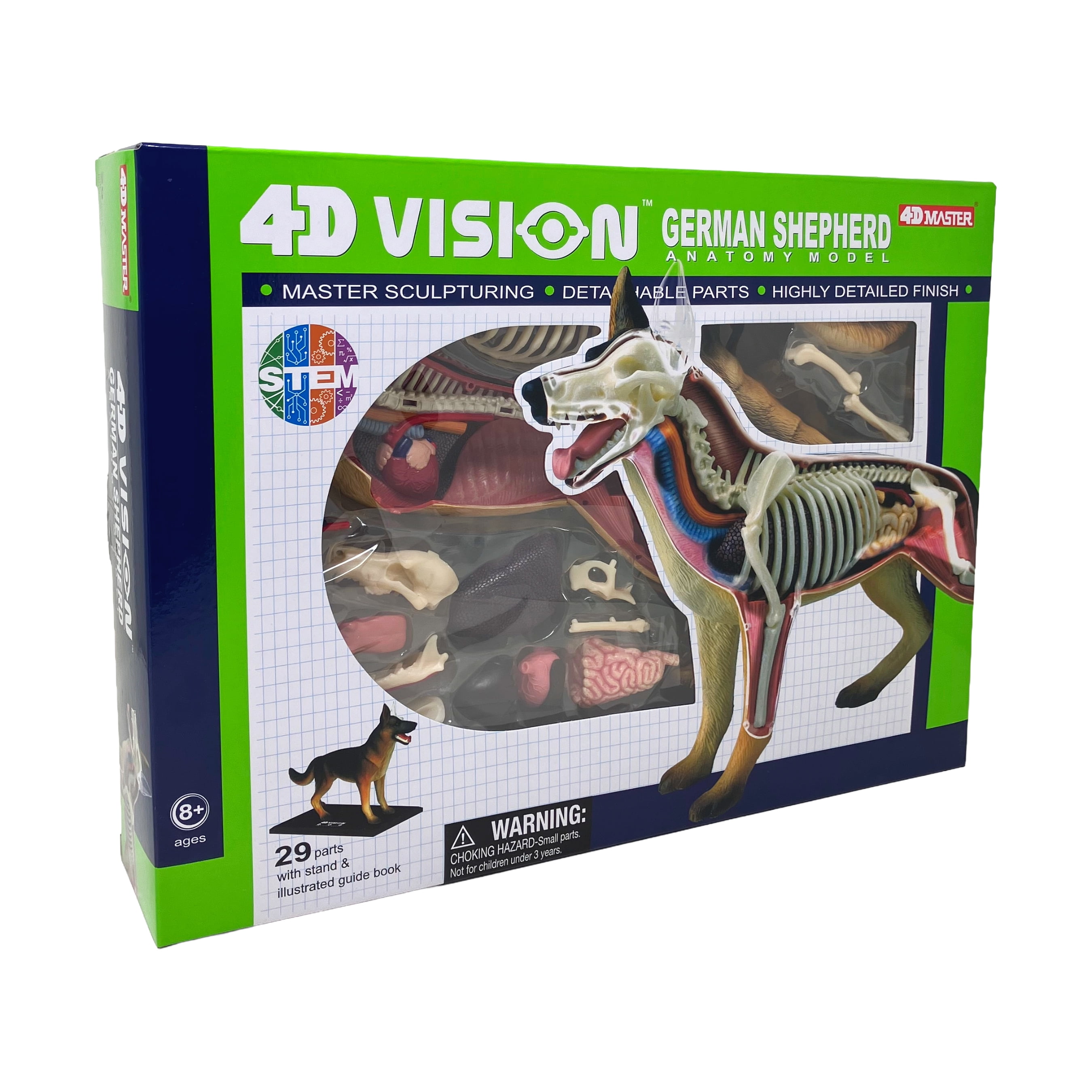 【Special Price】 赤子解剖オブジェ Tedco Toys 4D Vision Orca Anatomy Model - Walmart.com