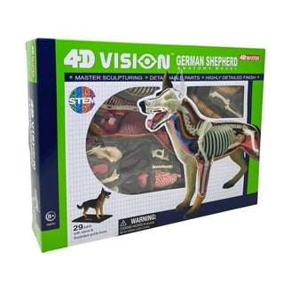 Tedco Toys 4D Vision Orca Anatomy Model - Walmart.com
