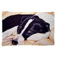 thumbnail image 1 of Carolines Treasures AMB1080PILLOWCASE Naptime Border Collie Fabric Standard Pillowcase, 1 of 2