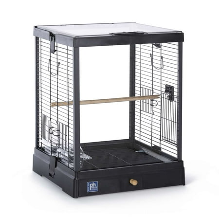 Prevue Pet Products Clear Glass Bird Cage with Black Frame