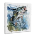 thumbnail image 4 of Stupell Industries Water Splashing Fish Animals Painting Wrapped Canvas Art Print Wall Art, 24 x 24, 4 of 8