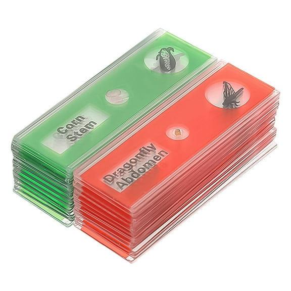 FRCOLOR 24Pcs Microscope Slide Children's Plastic Biological Slide Specimens Kids Plastic Sample Specimen Set of Green Plant Flowers Prepared for Microscope(Random Color)