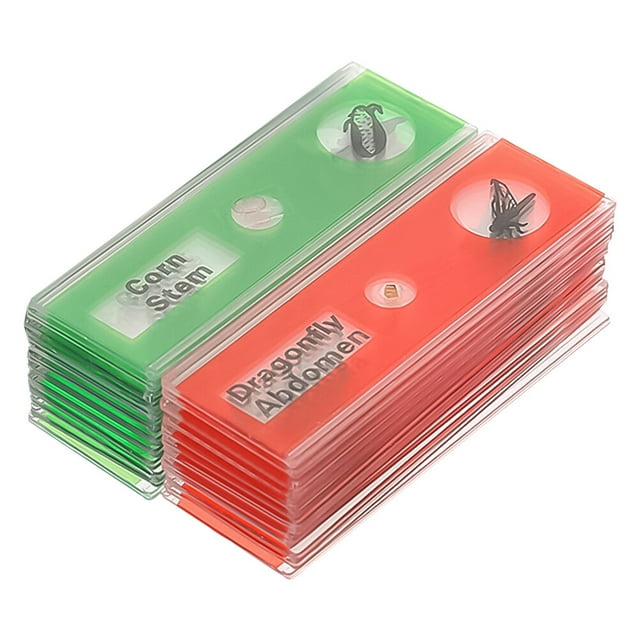 MasteelfCA 24Pcs Microscope Slide Children's Plastic Biological Slide Specimens Kids Plastic Sample Specimen Set of Green Plant Flowers Prepared for Microscope(Random Color)