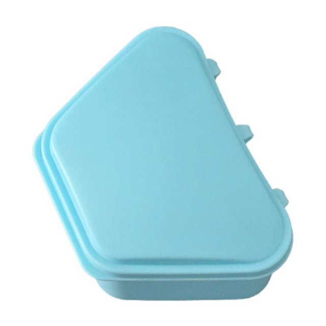 Panier de Bain pour Appareils de Mode pour Femmes, Boîte de Rangement pour Faux Dents, Soin des Dents