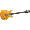 PRS Santana Signature Model Electric Guitar