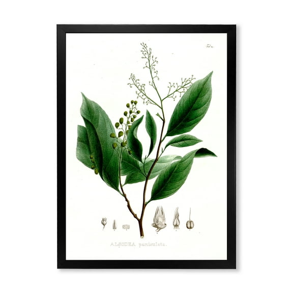 Designart 'Ancient Brazilian Plant II' Traditional Framed Art Print
