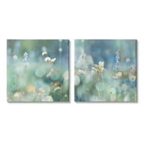 Stupell Industries Sunlit Daisy Field Botanical & Floral Photography Gallery Wrapped Canvas Art Print Wall Art, 17 x 17, Set of 2