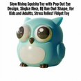 thumbnail image 2 of Slow Rising Squishy Toy with Pop Out Eye Design, Single Piece, Blue Owl Shape, for Kids and Adults, Relaxation Squeeze Toy, 2 of 3