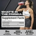 thumbnail image 4 of Muscletech Creatine 100% Platinum Essential Series Unflavored 80 Servings, 4 of 8
