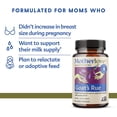 thumbnail image 2 of Motherlove Goat's Rue, Single-Herb Lactation Supplement, 60 Liquid Caps, 2 of 5