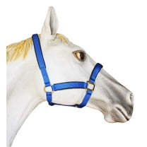 1" Horse Western Nylon Web Padded Halter Brass Plated Hardware  Lead Rope Tack 107HL03BL