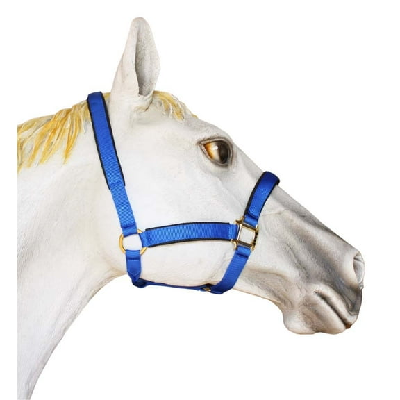 1" Horse Western Nylon Web Padded Halter Brass Plated Hardware  Lead Rope Tack 107HL03BL