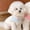 White, variant on Summer Clothes for Dogs Puppy Shirt Blouse Spring Pets Clothing Dog Doggy Pet Shirts Apparel Supplies