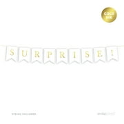 Surprise! Gold Ink Pennant Party Banner