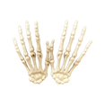 thumbnail image 6 of Herrnalise 1 Pair Halloween Skeleton Hands Plastic Hand,Skull Claw Skeleton Model Scary Bone Hands for Halloween Decoration Horror Prank Cosplay Party Haunted House Terror Props Supplies, 6 of 8