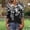 A57 Black, variant on Henley Blouse for Women Dainty Floral Botanical Print V Neck Button Up Three Quarter Sleeve Gathered Front Relaxed Fit Elegant Office Workwear Top
