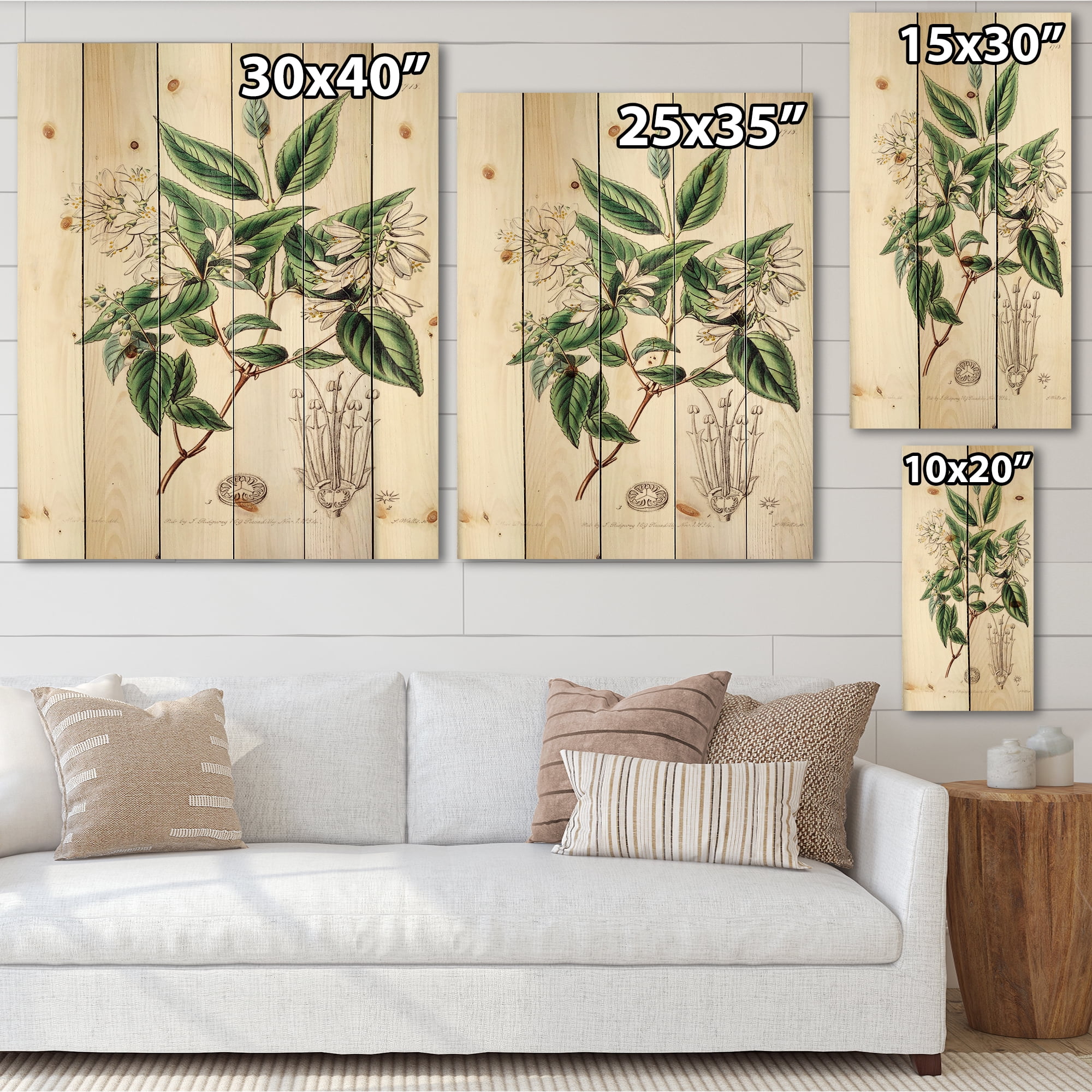 Designart 'Ancient Botanicals X' Traditional Print on Natural Pine Wood