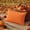 A, variant on 2PCS Decorative Orange Throw Pillow Covers 19.6x11.8 Inch, Super Soft Square Pillows Farmhouse Fall Pillowcase for Halloween Living Room Bedroom Sofa Couch Cushion Cover