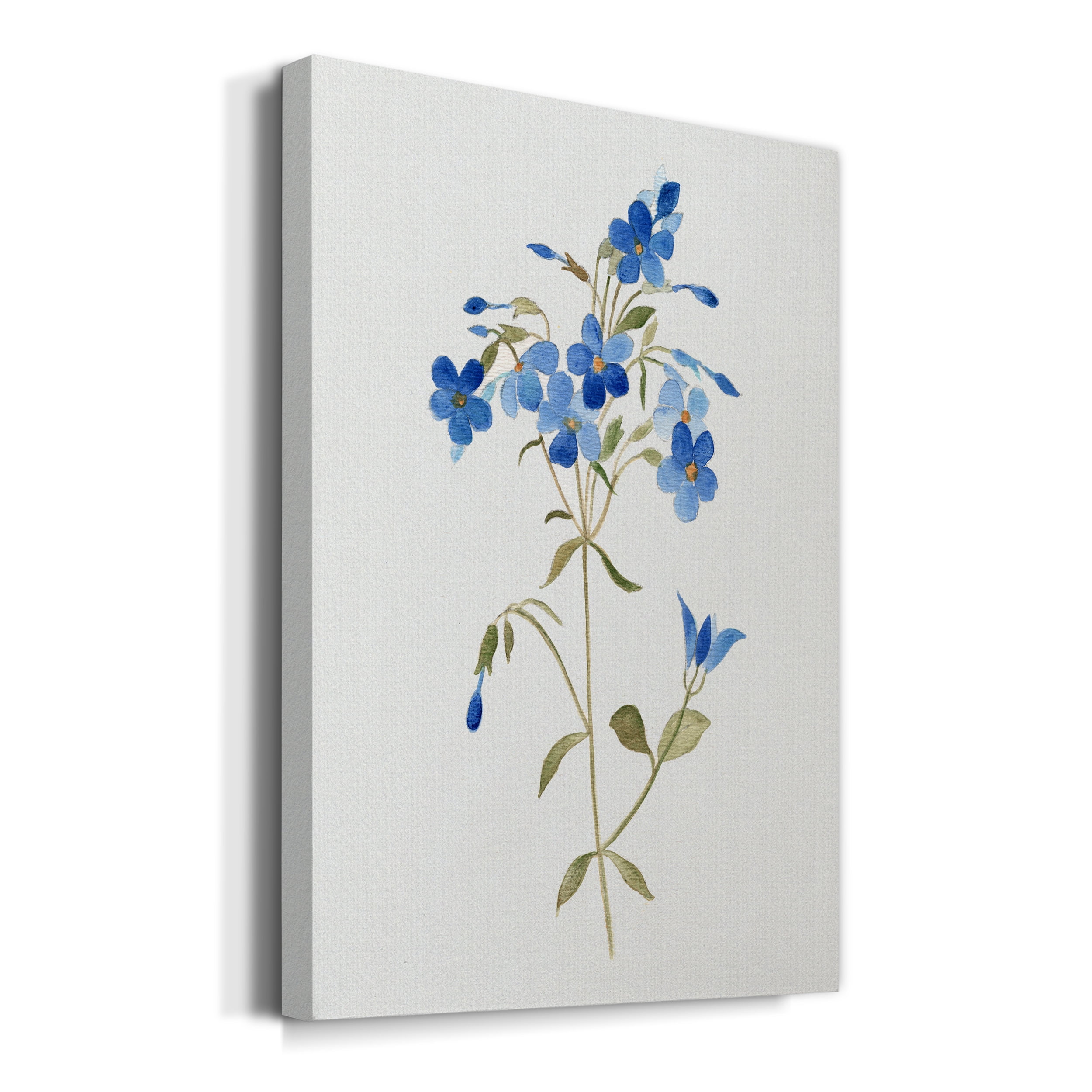 Blue Blossom Botanical II Premium Gallery Wrapped Canvas - Ready to Hang - 40 x 60
