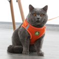 thumbnail image 3 of Jinsinto Cat Leashes Kitten Harness Anti Escape Reflective Adjustable Cat Harness Breathable Vest, 3 of 5