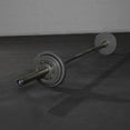 thumbnail image 2 of Titan Fitness 5 LB Cast Iron Olympic Plates, Sold In Pairs, Classic Weight Plate Design, Silver Hammer Finish, 2 of 8