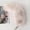 Beige, variant on Tail 12.2 inch Tail Shaggy Faux Fur Tail Keychain Decorative Tail for Handbag Backpack,White