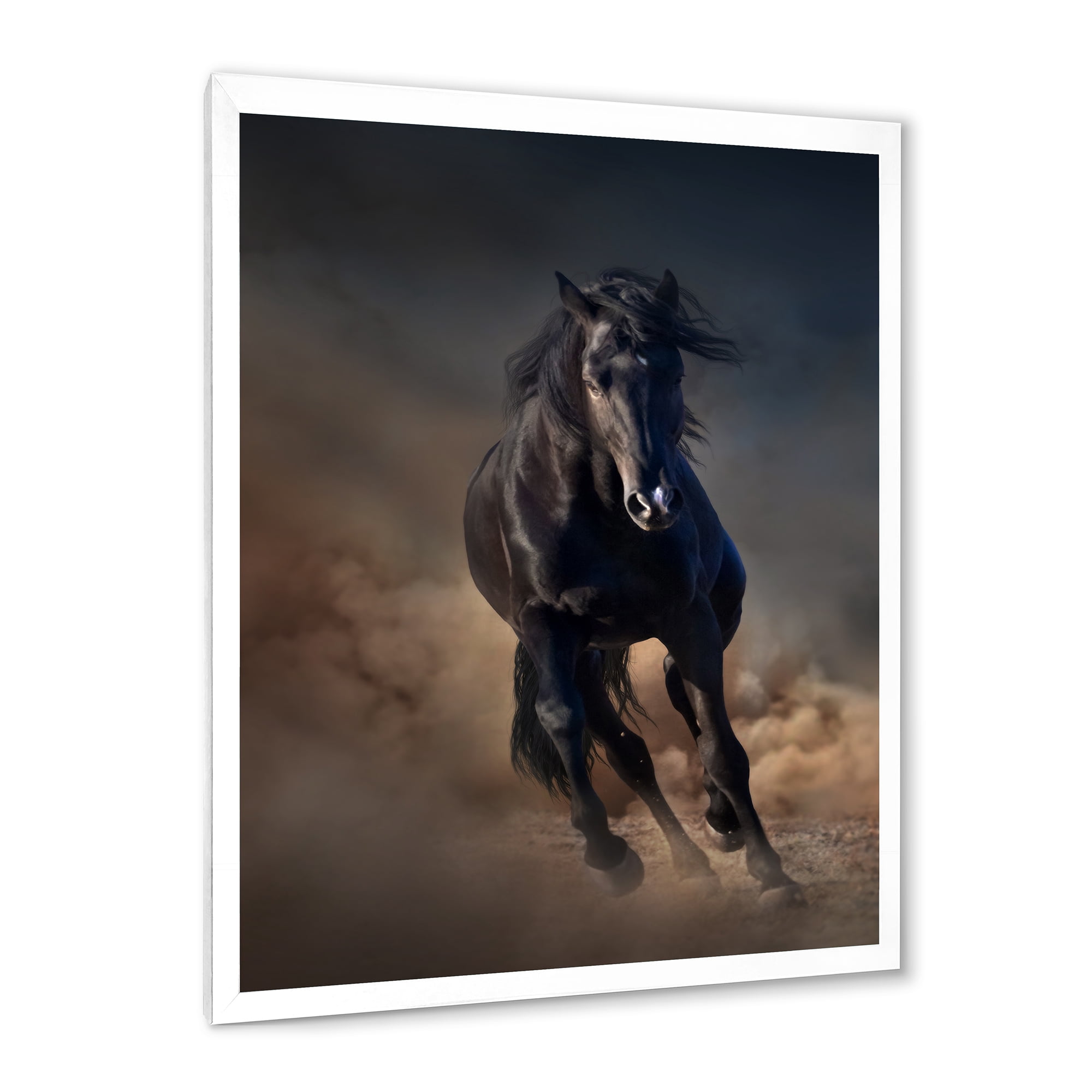 Designart 'Close Up Of Thoroughbred Nonius Stallion Horse I' Farmhouse Framed Art Print
