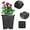 Black, variant on Waltyotur 1/2/3/5/8/10Gallon Plastic Grow Pots Plant Bonsai Square Garden Container 10 Pack