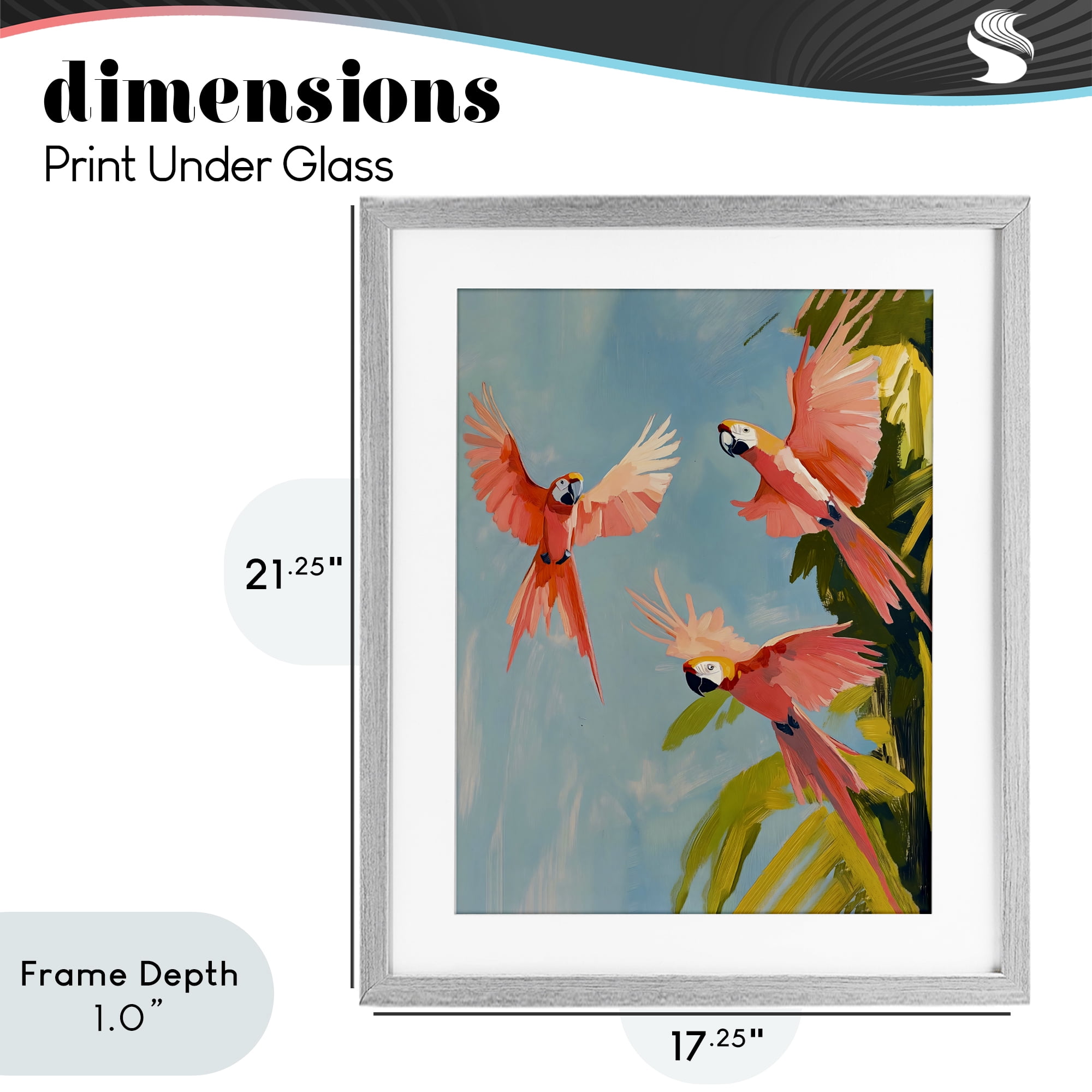 Stupell Industries Botanical Parrots in Flight Gray Framed Print Under Glass, design by The Prints Vibe