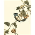 thumbnail image 2 of Vision Studio 15x18 Gold Ornate Wood Framed with Double Matting Museum Art Print Titled - Oriental Bird on Branch III, 2 of 4
