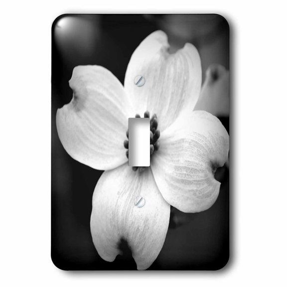 3dRose, Black and white Dogwood Flowers, single toggle switch