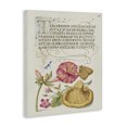 thumbnail image 3 of Stupell Industries Cottage Woodland Wildlife Study Canvas Art, 16 x 20, by Grace Popp, 3 of 8
