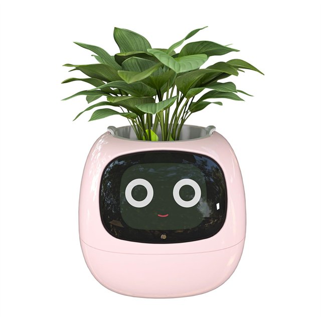 Nomeni Pots for Plants Smart Flower Pots with Artificial Intelligence Time Temperature Display and Numerous Expressive Animatio Ns Based on the Environment for Indoor Decoration Gifts Garden Decor