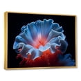 thumbnail image 2 of Designart "Azure And Scarlet Plumed Anemone" Coastal Coral Under Water Floater Framed Wall Decor, 2 of 5