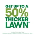thumbnail image 4 of Scotts Turf Builder Thick'R Lawn Tall Fescue Mix, Thickens Thin Grass, 12 lbs., 4 of 13