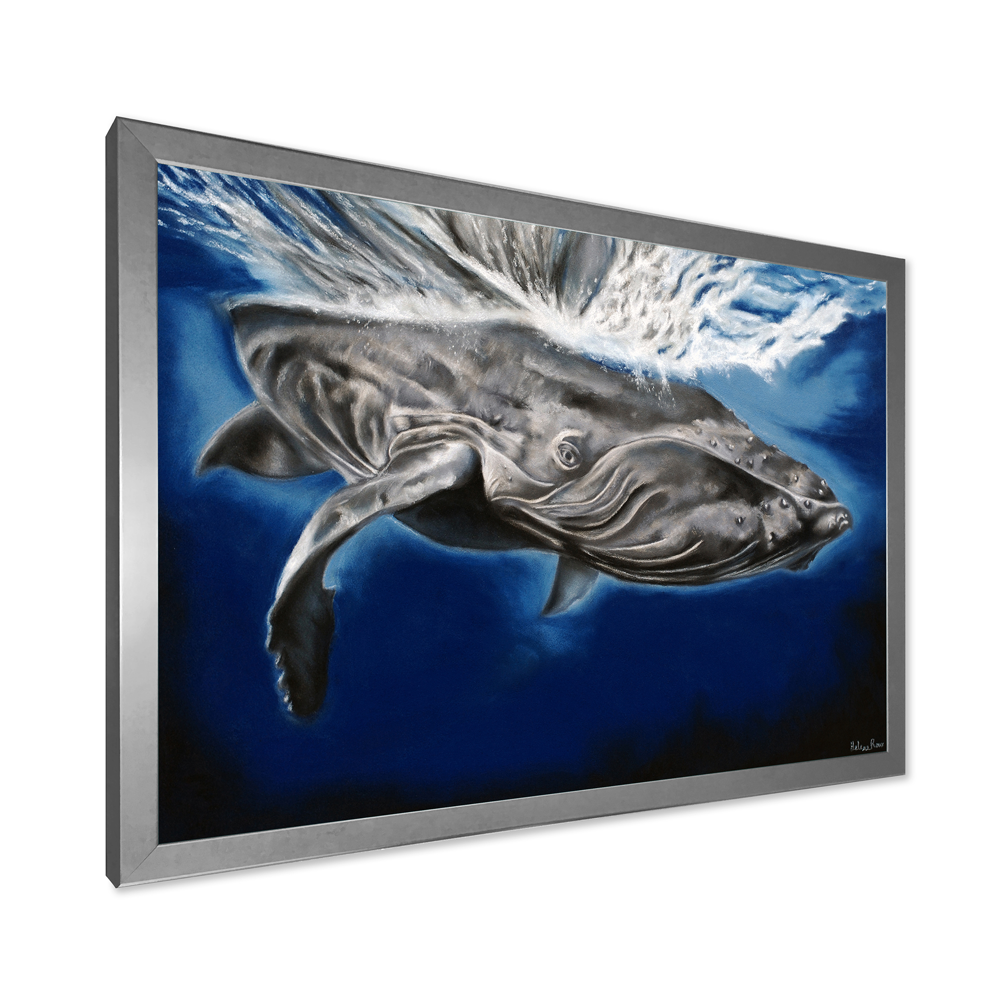 Designart 'Close Up Portrait Of A Humpback Whale' Nautical & Coastal Framed Art Print