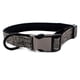 thumbnail image 1 of Dinheiro Collar para perro con clip y letras cortadas con forro de lona, 1 of 5