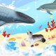 thumbnail image 5 of Gwong Juguete Ocean Animal Toy Encantador Apariencia Anti-Hit Color Bright Color Miniatura Mar Animal Figuras para la colección Gwong 30012128, 5 of 6