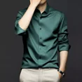 thumbnail image 1 of Camisa Ice Silk Para Hombre, Resistente A Las Arrugas, No Se, 1 of 7