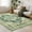 Green, variant on Rugs for Living Room 5x7, Non Slip Machine Washable Indoor Large Rug, Low Pile Chenille Print Mat for Bedroom Dining Room Home Office Kitchen, green