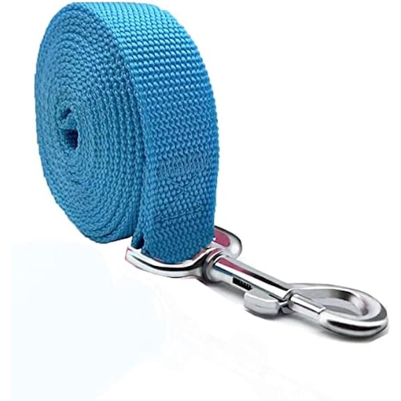 Eryueer 4FT/5FT/6FT Strong Dog Leash, Nylon Dog Leashes for Small Medium Large Dogs (Blue, 1 in x 10 ft)